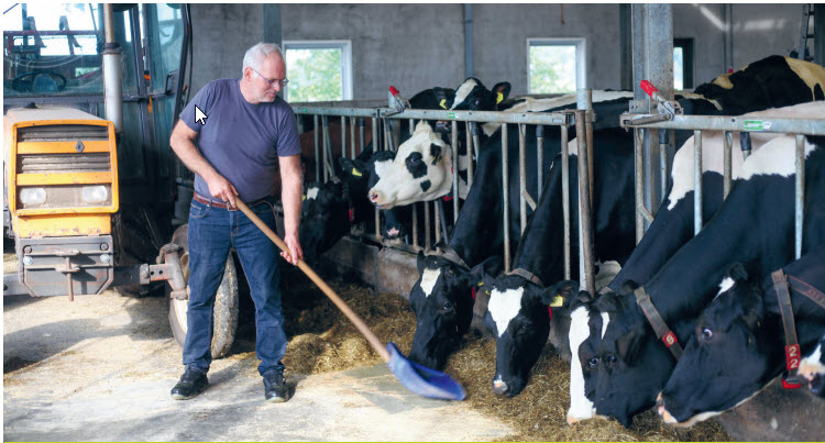 'Koe heeft baat bij rem op de melkgift voor de droogstand'